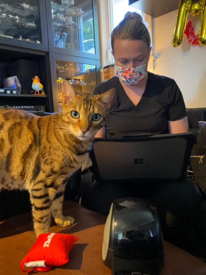 cat with vet and laptop